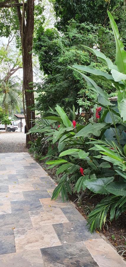 Tucan Hotel Uvita Bagian luar foto