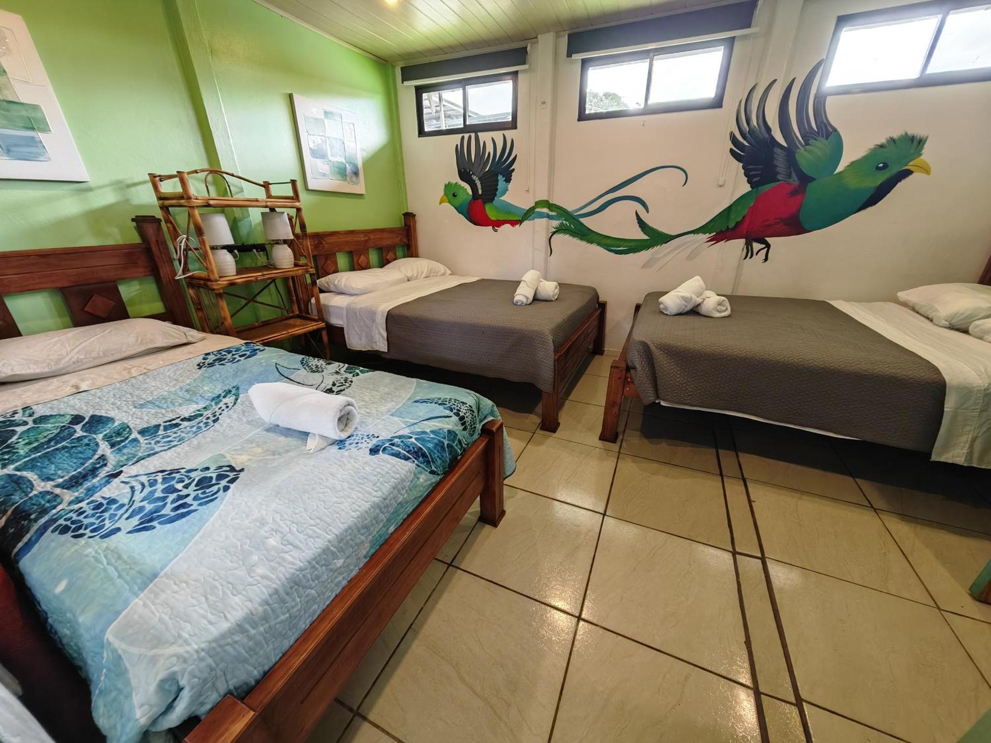 Tucan Hotel Uvita Ruang foto