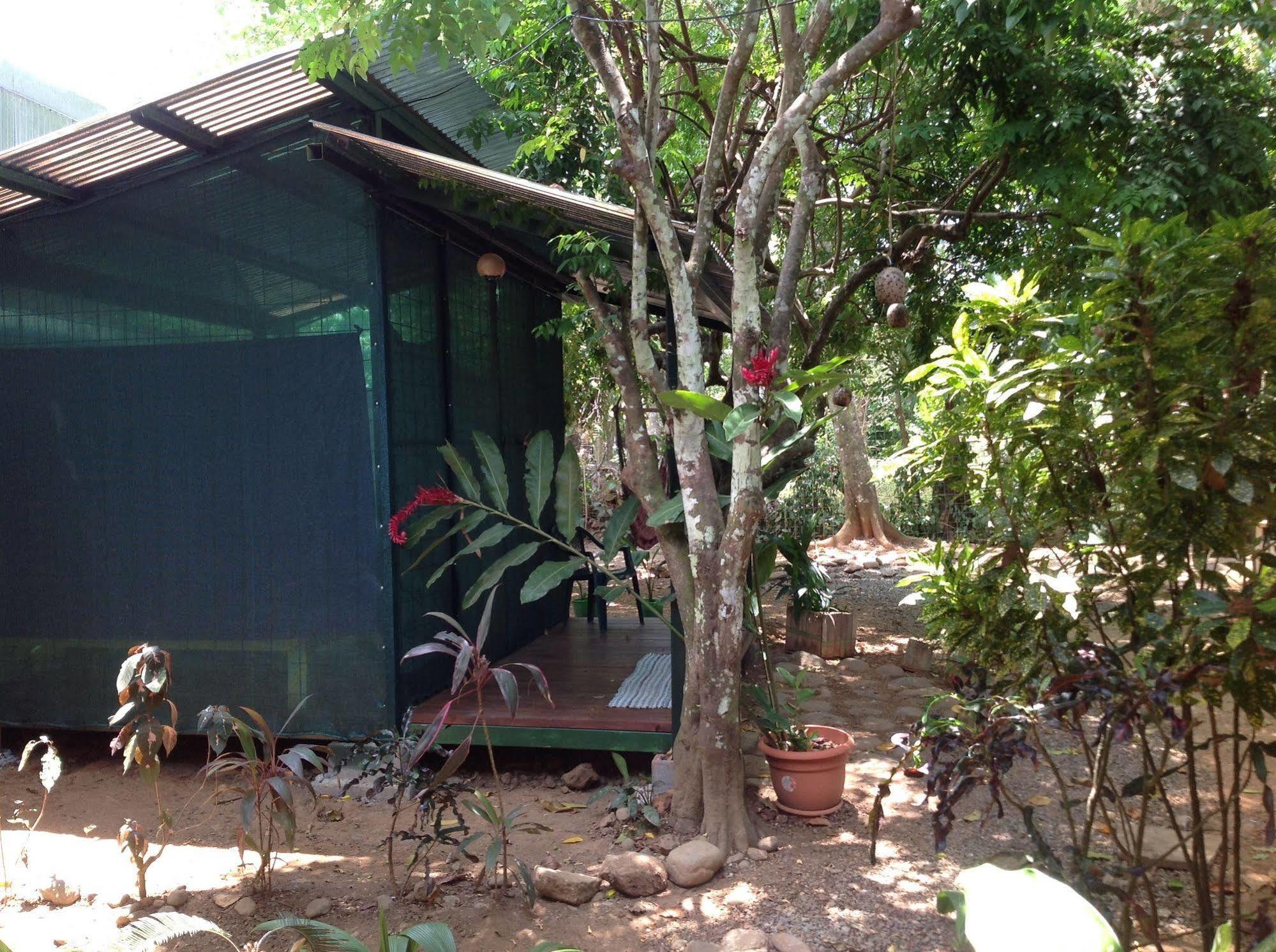 Tucan Hotel Uvita Bagian luar foto